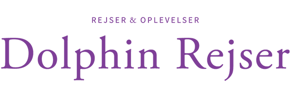 7-12 % i rabat hos Dolphin Rejser (til /partners/dolphin-rejser---fa-7-12--hos-dolphin-rejser/)