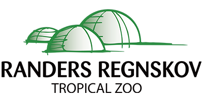 20 % i rabat hos Randers Regnskov (til /partners/randers-regnskov---fa-20--pa-entreen-til-randers-regnskov/)